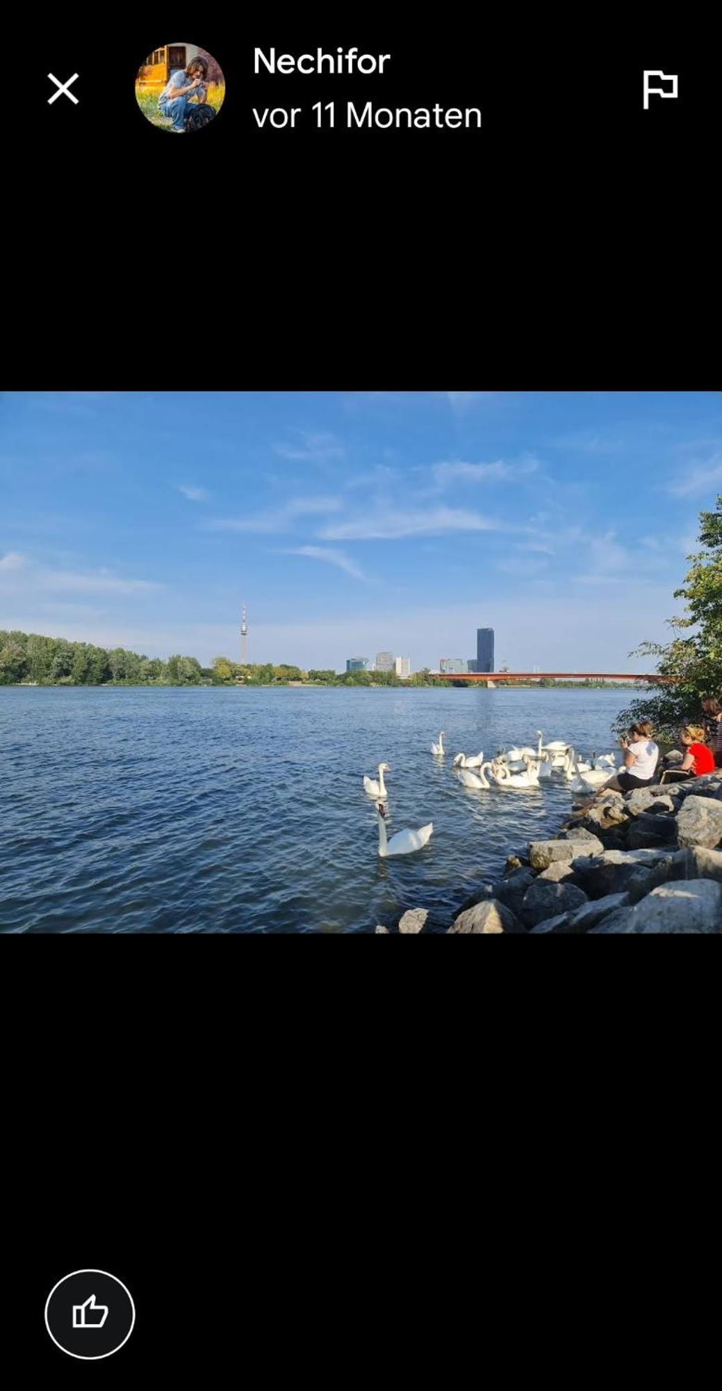 Schoene Altbauwohnung Wien Zentrum Brigittenauer Laende 32 Bagian luar foto