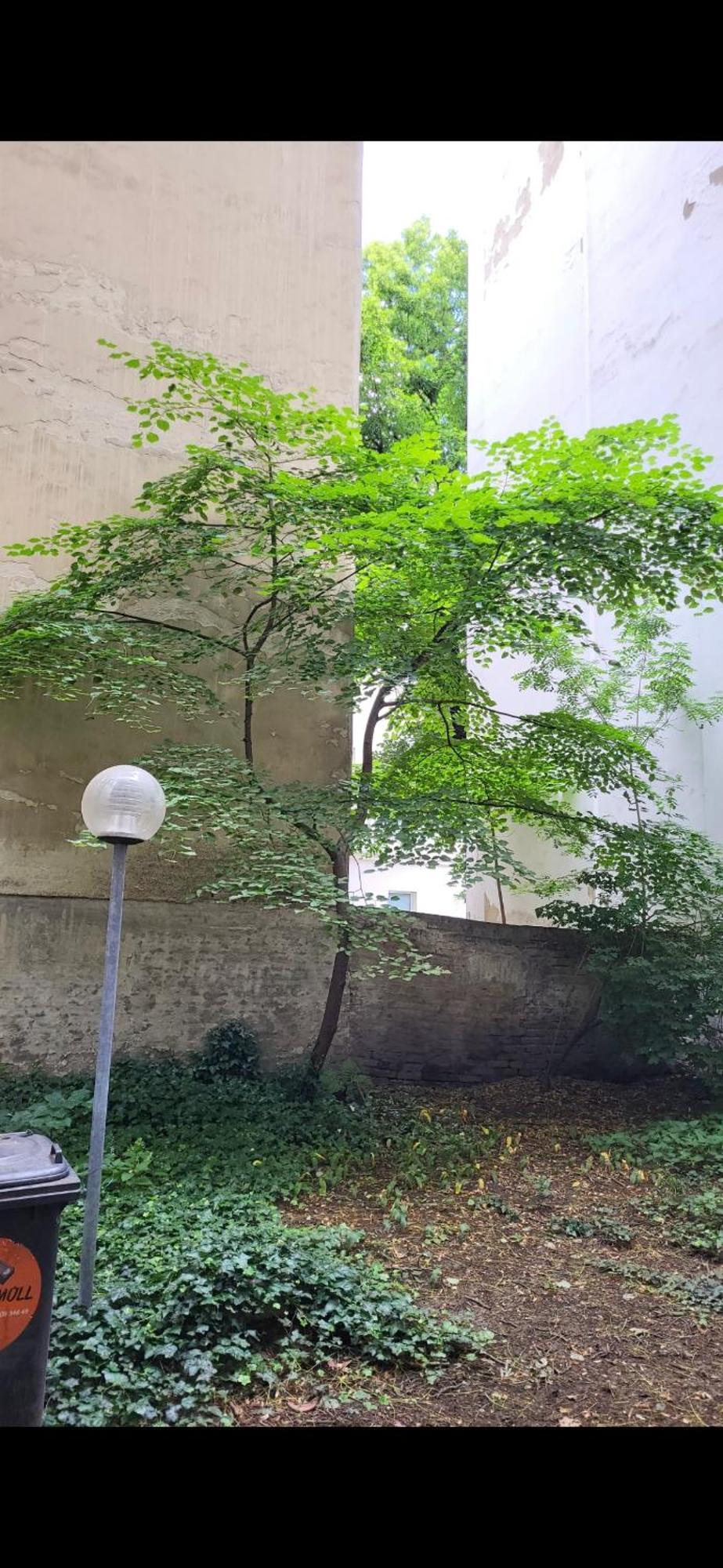 Schoene Altbauwohnung Wien Zentrum Brigittenauer Laende 32 Bagian luar foto